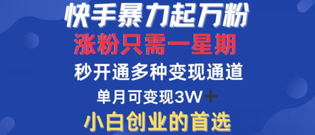 快手暴力起万粉，涨粉只需一星期，多种变现模式，直接秒开万合，单月变现过W【揭秘】-豪讯资源网