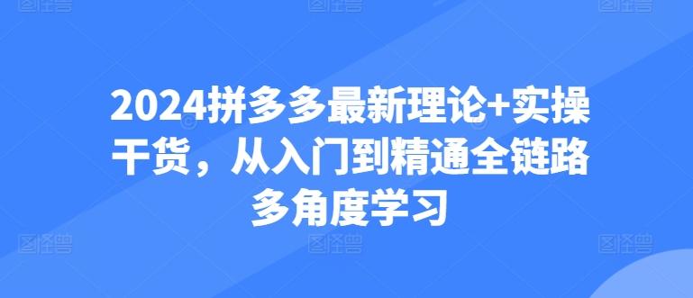 2024拼多多最新理论+实操干货，从入门到精通全链路多角度学习-豪讯资源网