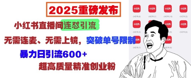 2025重磅发布：小红书直播间连怼引流，无需连麦、无需上镜，突破单号限制，暴力日引流600+-豪讯资源网