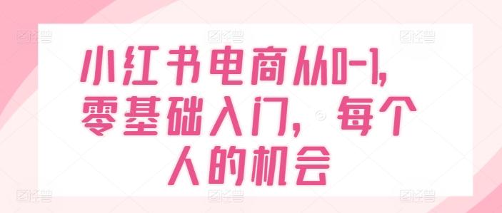 小红书电商从0-1，零基础入门，每个人的机会-豪讯资源网