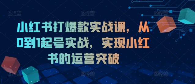 小红书打爆款实战课，从0到1起号实战，实现小红书的运营突破-豪讯资源网