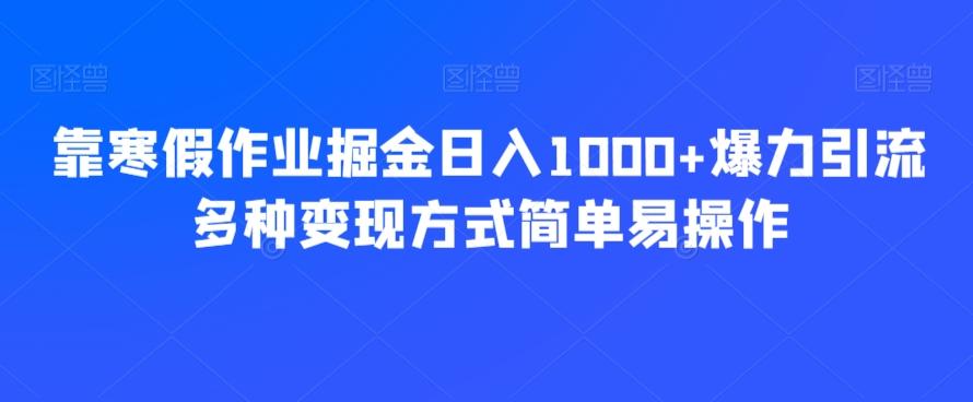 靠寒假作业掘金日入1000+爆力引流多种变现方式简单易操作-豪讯资源网