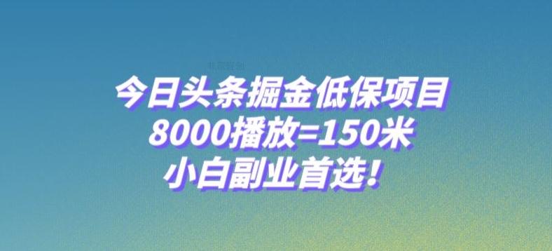 今日头条掘金低保项目，8000播放=150米，小白副业首选【揭秘】-豪讯资源网
