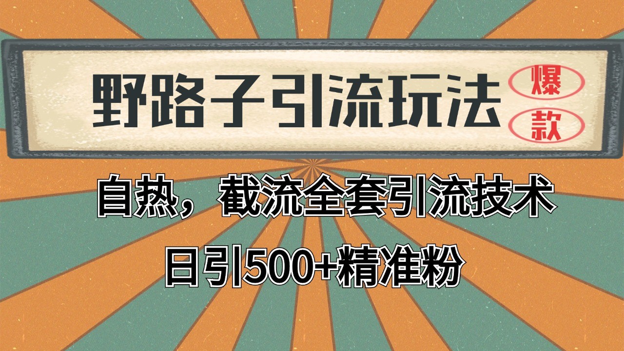 抖音小红书视频号全平台引流打法，全自动引流日引2000+精准客户-豪讯资源网