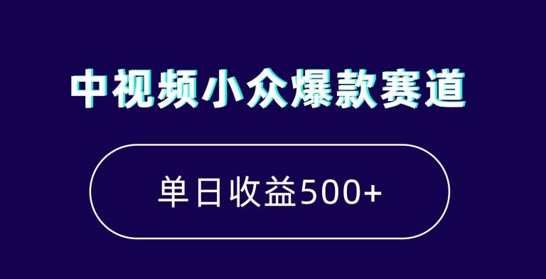 中视频小众爆款赛道，7天涨粉5万+，小白也能无脑操作，轻松月入上万【揭秘】-豪讯资源网