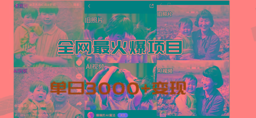 全网爆火的AI让老照片动起来教程，蹭热点日赚3000+，内含免费工具一键...-豪讯资源网