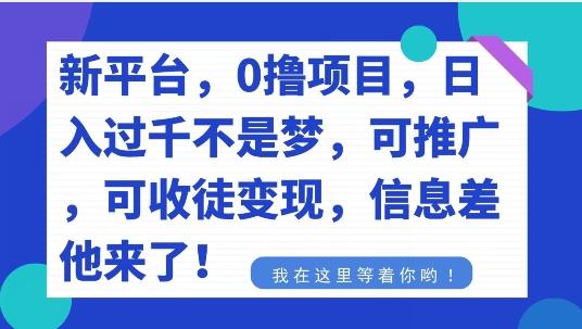 不要再花冤枉钱了，0撸项目，每天坚持，稳定1000+-豪讯资源网
