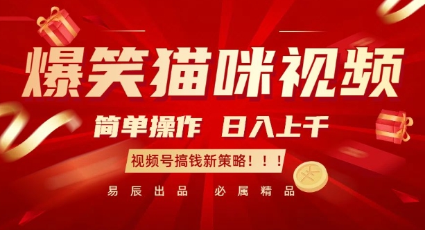 爆笑猫咪视频：简单操作，日入过K，视频号搞钱新策略【揭秘】-豪讯资源网