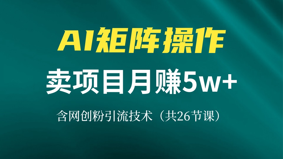 网创IP打造课，借助AI卖项目月赚5万+，含引流技术(共26节课-豪讯资源网