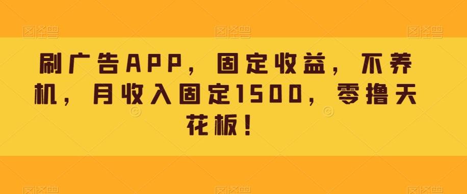 刷广告APP，固定收益，不养机，月收入固定1500，零撸天花板！-豪讯资源网