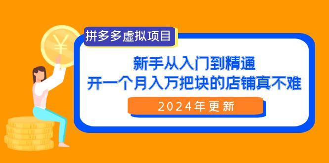 (9744期)拼多多虚拟项目：入门到精通，开一个月入万把块的店铺 真不难(24年更新)-豪讯资源网