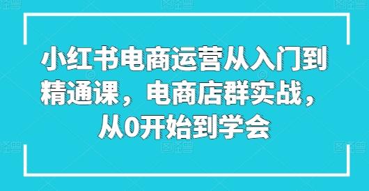 小红书电商运营从入门到精通课，电商店群实战，从0开始到学会-豪讯资源网