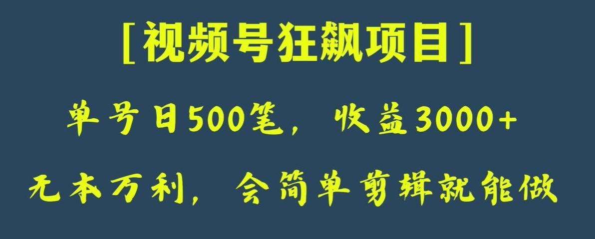 日收款500笔，纯利润3000+，视频号狂飙项目，会简单剪辑就能做【揭秘】-豪讯资源网
