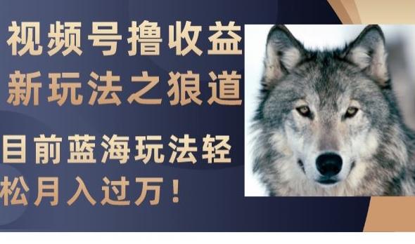 视频号撸收益新玩法之狼道，目前蓝海玩法，轻松月入过万【揭秘】-豪讯资源网