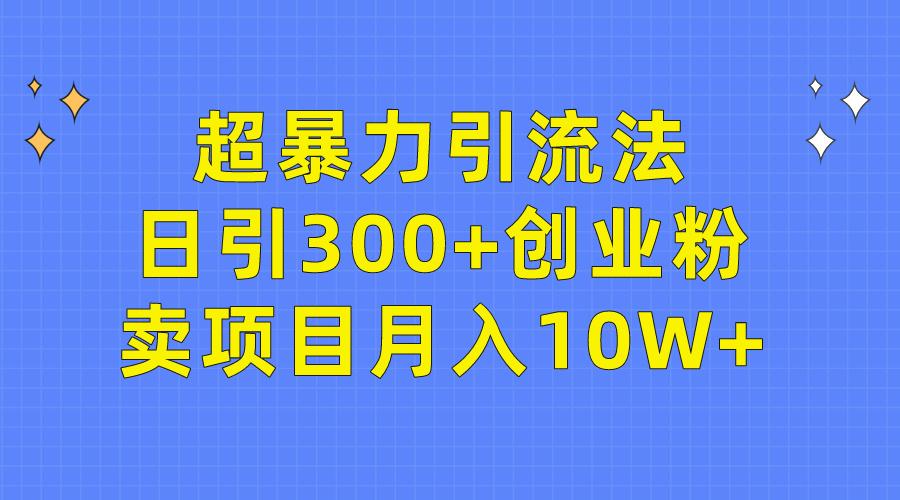 (9954期)超暴力引流法，日引300+创业粉，卖项目月入10W+-豪讯资源网