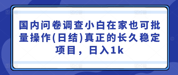 国内问卷调查小白在家也可批量操作(日结)真正的长久稳定项目，日入1k【揭秘】-豪讯资源网