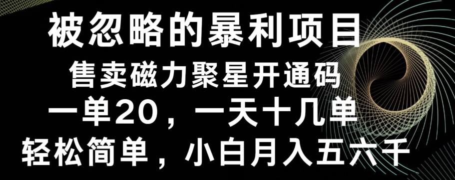 被忽略的暴利项目！售卖磁力聚星开通码，一单20，一天十几单，轻松月入五六千-豪讯资源网