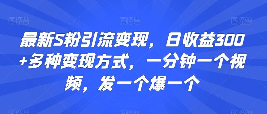 最新S粉引流变现，日收益300+多种变现方式，一分钟一个视频，发一个爆一个【揭秘】-豪讯资源网