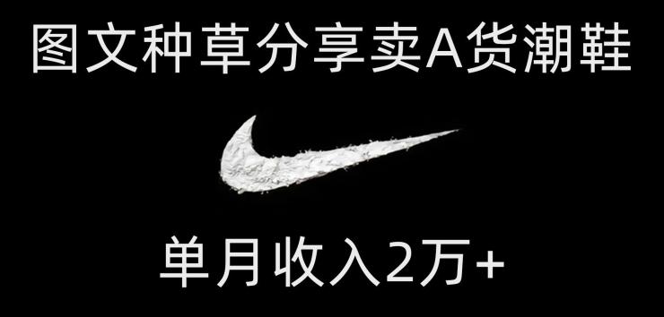 靠图文种草分享卖A货潮鞋，每天一小时，单月收入2万+【揭秘】-豪讯资源网