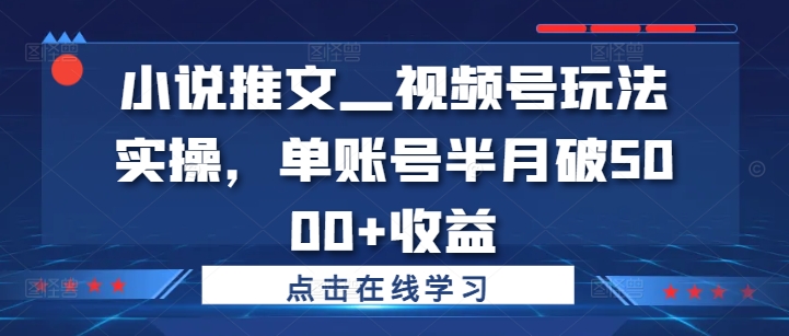 小说推文—视频号玩法实操，单账号半月破5000+收益-豪讯资源网