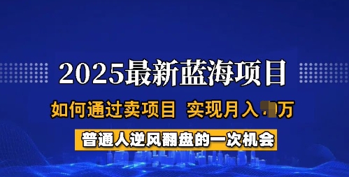 2025蓝海项目，普通人如何通过卖项目，实现月入过W，全过程【揭秘】-豪讯资源网