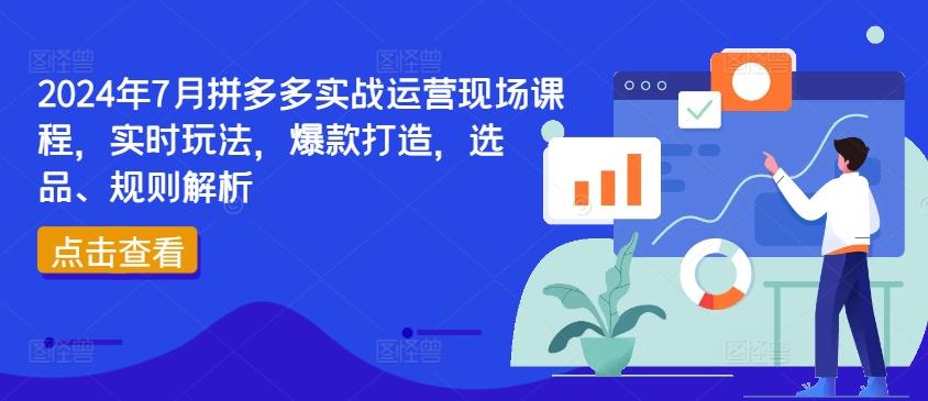 2024年7月拼多多实战运营现场课程，实时玩法，爆款打造，选品、规则解析-豪讯资源网