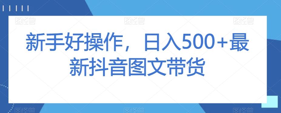新手好操作，日入500+最新抖音图文带货【揭秘】-豪讯资源网