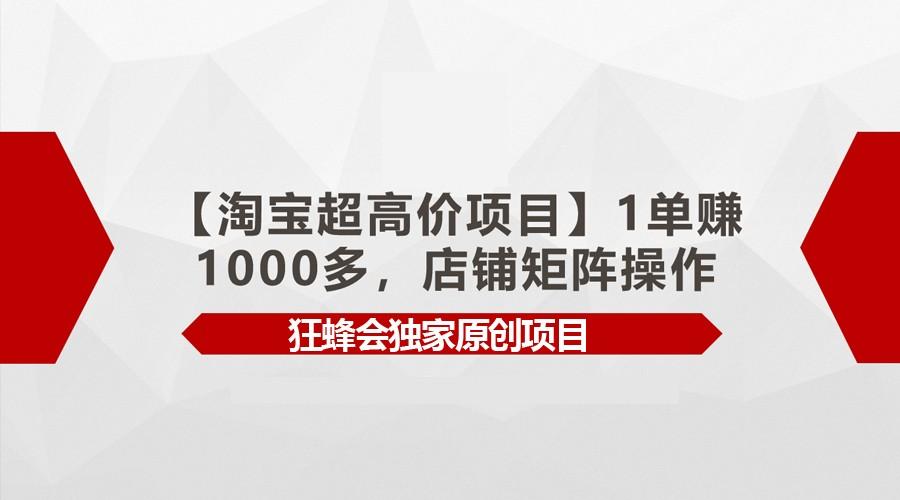 【淘宝超高价项目】1单赚1000多，店铺矩阵操作-豪讯资源网