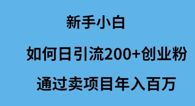 (9668期)新手小白如何日引流200+创业粉通过卖项目年入百万-豪讯资源网