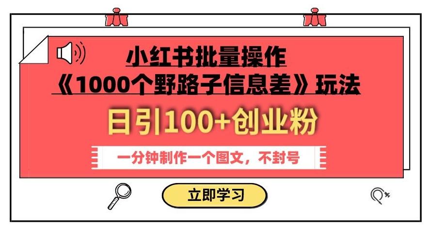 小红书批量操作《1000个野路子信息差》玩法，一分钟制作一个图文，不封号，日引100+创业粉-豪讯资源网