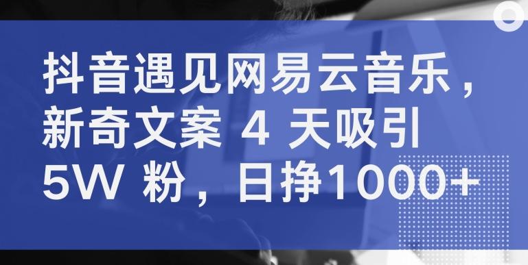 抖音遇见网易云音乐，新奇文案 4 天吸引 5W 粉，日挣1000+【揭秘】-豪讯资源网
