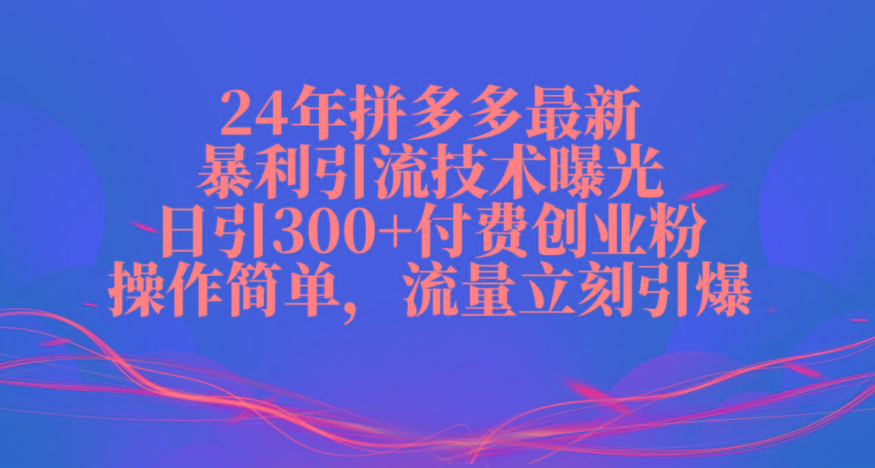 24年拼多多最新暴利引流技术曝光，日引300+付费创业粉，操作简单，流量...-豪讯资源网