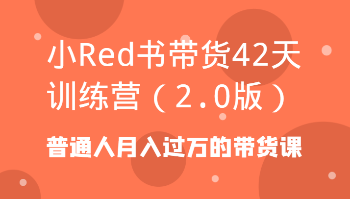 小Red书带货42天训练营(2.0版)普通人月入过万的带货课-豪讯资源网