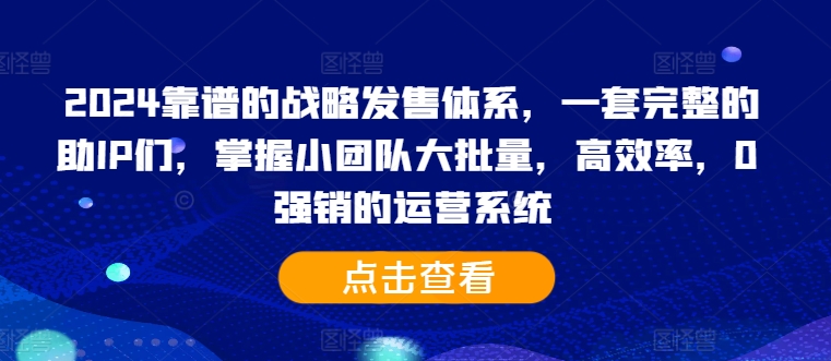 2024靠谱的战略发售体系，一套完整的助IP们，掌握小团队大批量，高效率，0 强销的运营系统-豪讯资源网