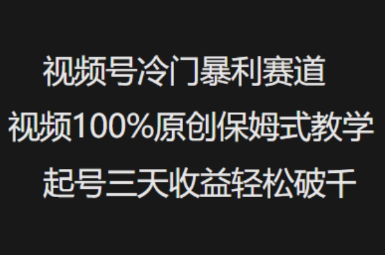 视频号冷门暴利赛道视频100%原创保姆式教学起号三天收益轻松破千-豪讯资源网