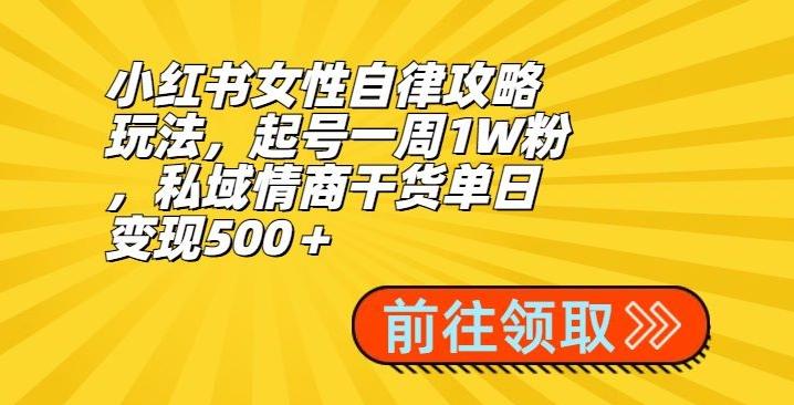 小红书女性自律攻略玩法，起号一周1W粉，私域情商干货单日变现500＋-豪讯资源网