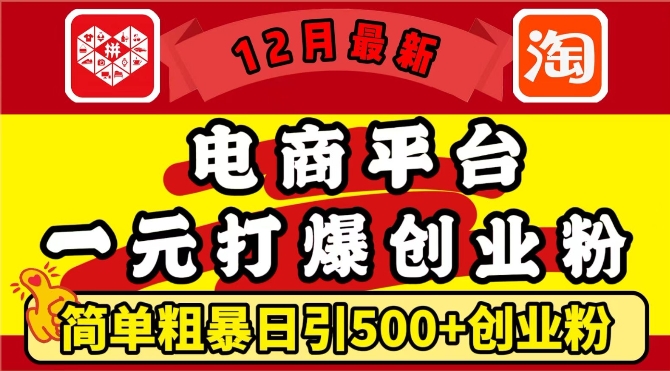 12月最新：电商平台1元打爆创业粉，简单粗暴日引500+精准创业粉，轻松月入过W【揭秘】-豪讯资源网
