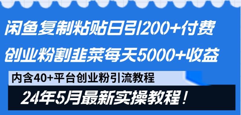 闲鱼复制粘贴日引200+付费创业粉，24年5月最新方法！割韭菜日稳定5000+收益-豪讯资源网