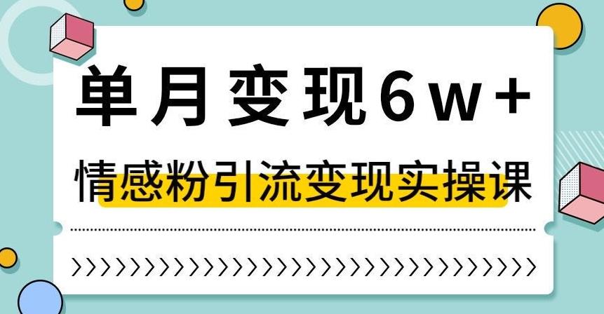 单月变现6W+，抖音情感粉引流变现实操课，小白可做，轻松上手，独家赛道【揭秘】-豪讯资源网