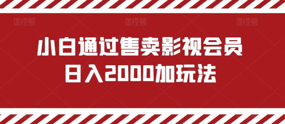 小白通过售卖影视会员日入2000加玩法-豪讯资源网