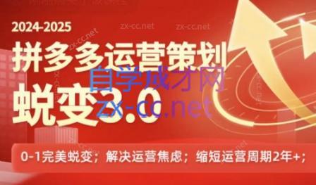 大力老师·2024拼多多运营策略蜕变3.0-豪讯资源网