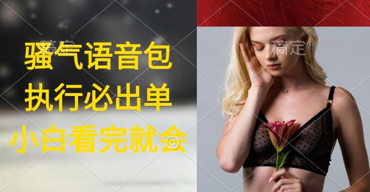 (9589期)执行就出单，日入2000+，超火骚气语音包，小白看完课程就能马上实操-豪讯资源网