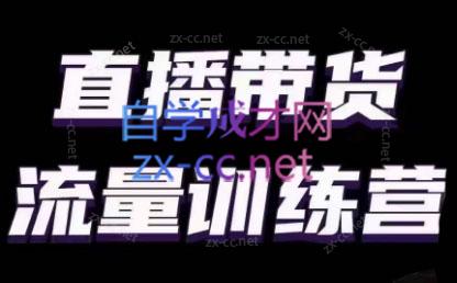 婉婉·直播带货课程系列合集(更新8月)-豪讯资源网