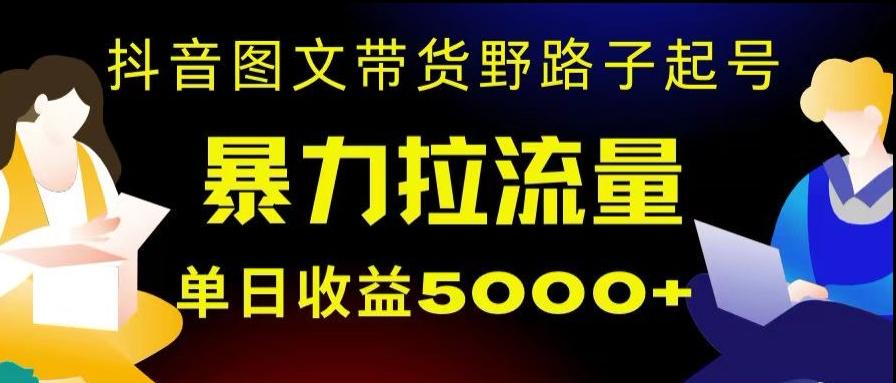抖音图文带货暴力起号，单日收益5000+，野路子玩法，简单易上手，一部手机即可【揭秘】-豪讯资源网