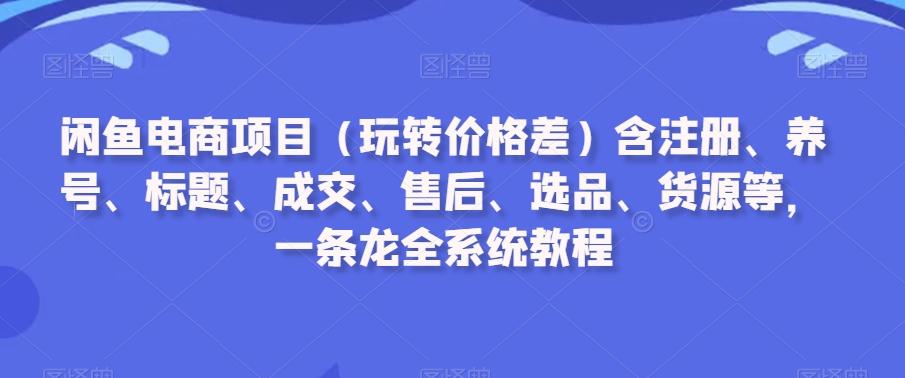闲鱼电商项目(玩转价格差)含注册、养号、标题、成交、售后、选品、货源等，一条龙全系统教程-豪讯资源网