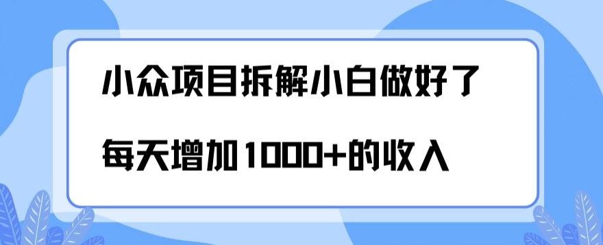 小众项目拆解，小白做好了每天可增加1000多的收入-豪讯资源网
