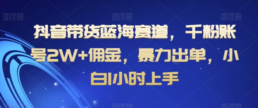 抖音带货蓝海赛道，千粉账号2W+佣金，暴力出单，小白1小时上手【揭秘】-豪讯资源网