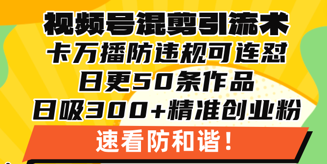 视频号混剪引流技术，500万播放引流17000创业粉，操作简单当天学会-豪讯资源网