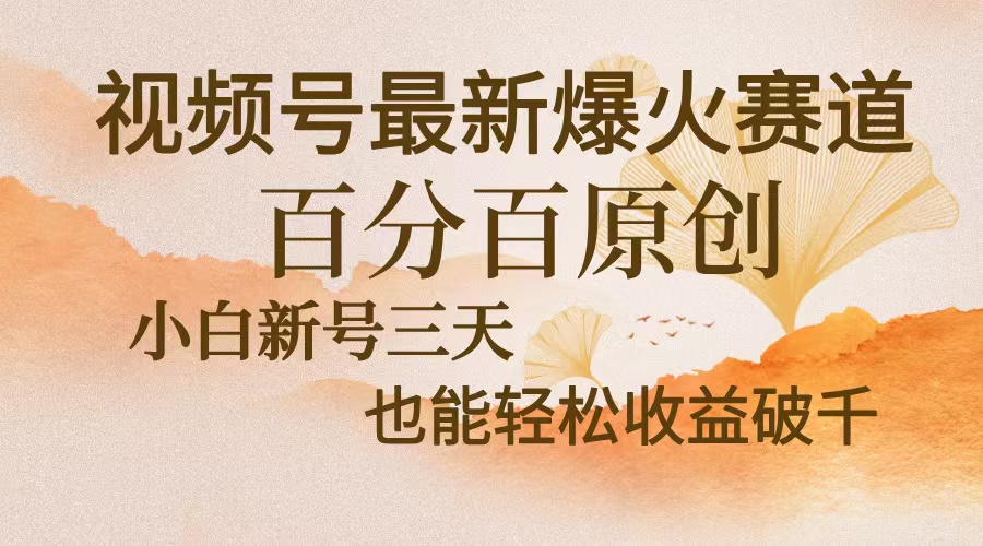视频号最新爆火赛道，中老年粉深信不疑，百分百原创，新号三天收益轻松...-豪讯资源网