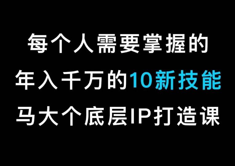 马大个的IP底层逻辑课，​每个人需要掌握的年入千万的10新技能，约会底层IP打造方法！-豪讯资源网